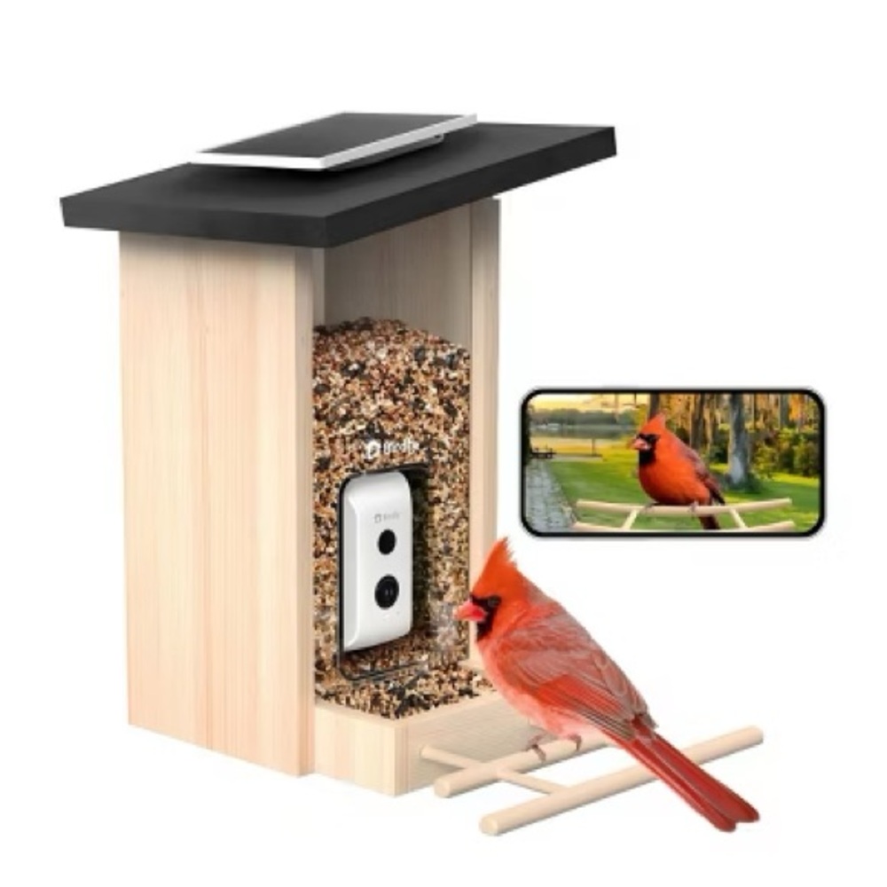 Birdfy Smart Bird Feeder with Camera, Bird Watching Camera with Ai
